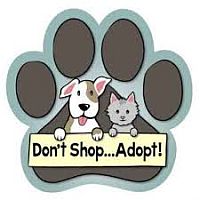 Smyth County Dog Shelter, VA